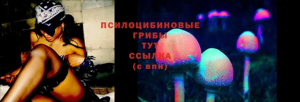 кокс Гусиноозёрск