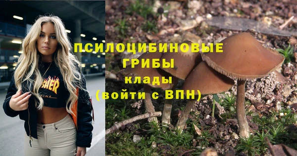 кокс Гусиноозёрск