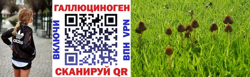 Псилоцибиновые грибы Cubensis  наркотики  Ельня 